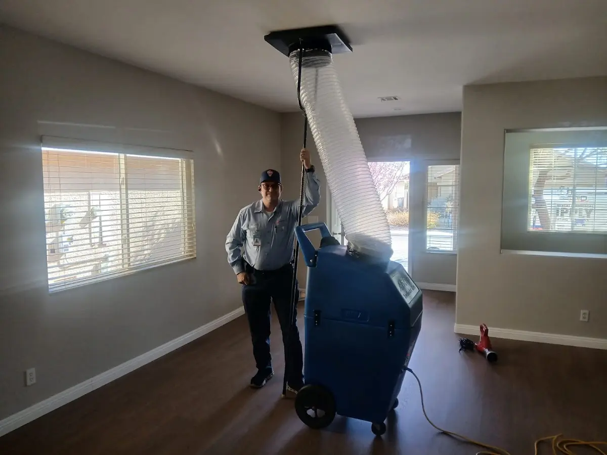 Professional Dryer Vent Cleaning work inside a Loves Park home